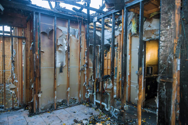 Professional Fire Damage Removal technician working in Belgrade, MT